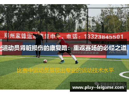 运动员肾脏损伤的康复路:重返赛场的必经之道 运动员肾脏损伤的康复路:重返赛场的必经之道