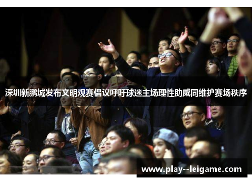 深圳新鹏城发布文明观赛倡议呼吁球迷主场理性助威同维护赛场秩序
