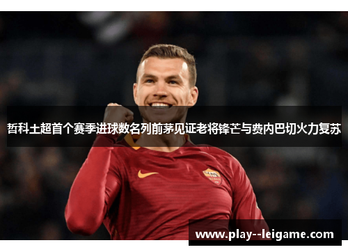 哲科土超首个赛季进球数名列前茅见证老将锋芒与费内巴切火力复苏